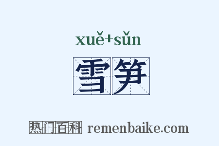 雪笋是什么意思的图片